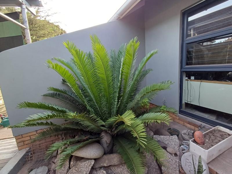 6 Bedroom Property for Sale in Vredenburg Western Cape